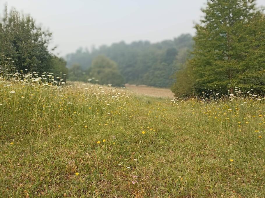 Douceur De Vivre A Sarlat Villa Kültér fotó